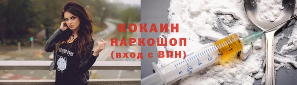 шишки Балабаново