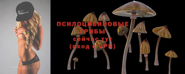 mdpv Баксан