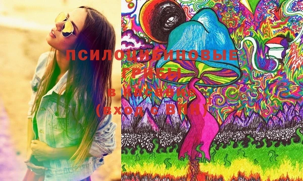 шишки Балабаново