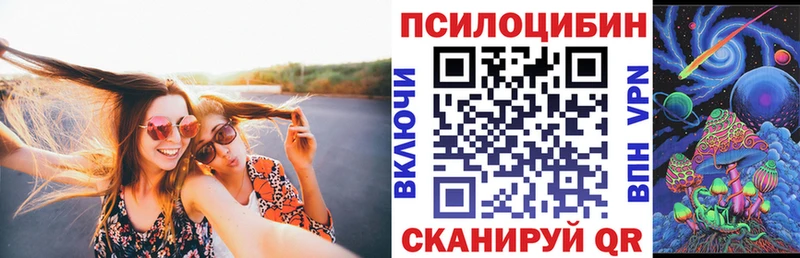 Псилоцибиновые грибы Psilocybine cubensis  Горячий Ключ 