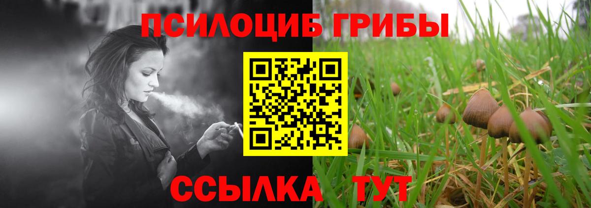 Горячий Ключ  Галлюциногенные грибы Cubensis  Вход с VPN 